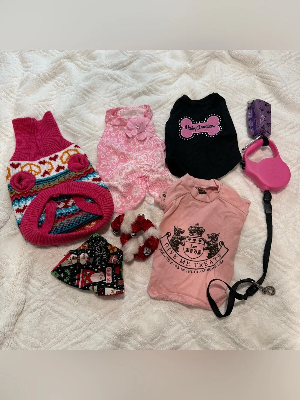 Pet outfits and leash